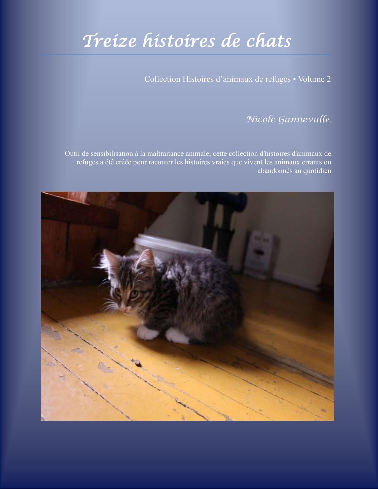 Treize histoires de chats eBook