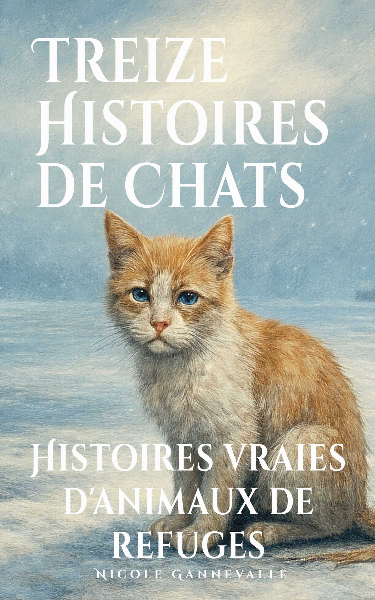 EBOOK_Treize Histoires de Chats FRONT_COVER_WEB_FR