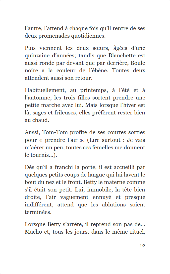 Extrait Ebook Treize histoires de chats