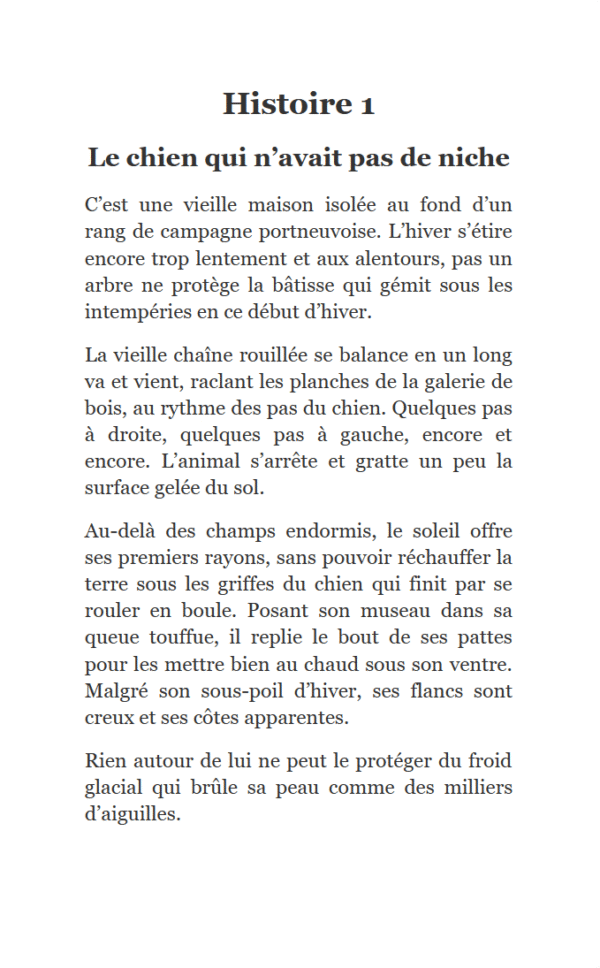 EXTRAIT Ebook Treize histoires de chiens