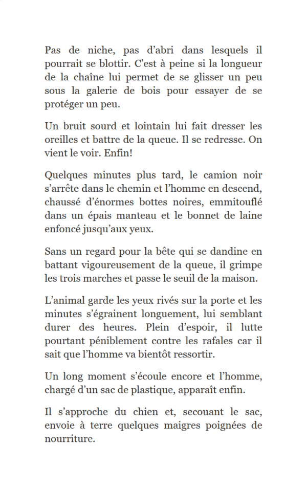 EXTRAIT Ebook Treize histoires de chiens