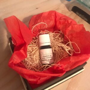 Pludepuces huiles essentielles Kit antipuces et tiques naturel d autrefois