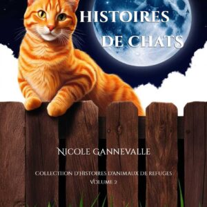 Treize Histoires de Chats Ebook
