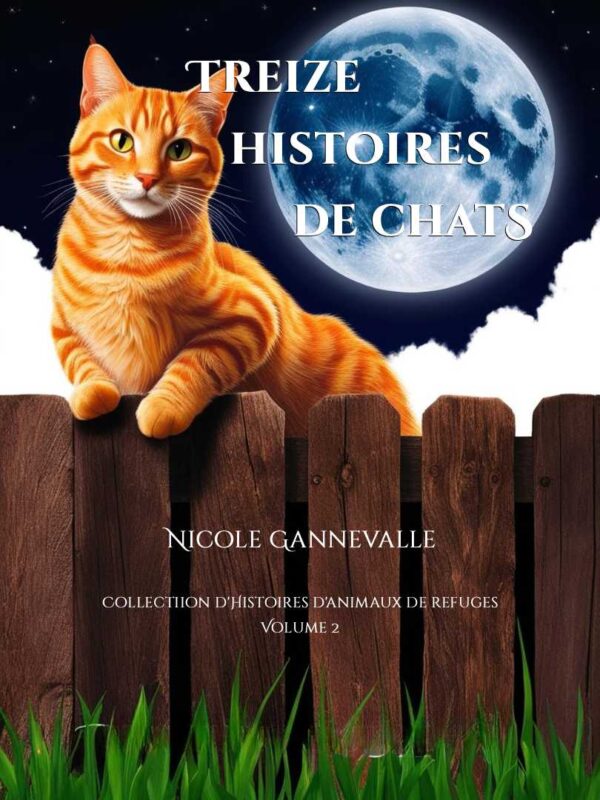 Treize Histoires de Chats Ebook