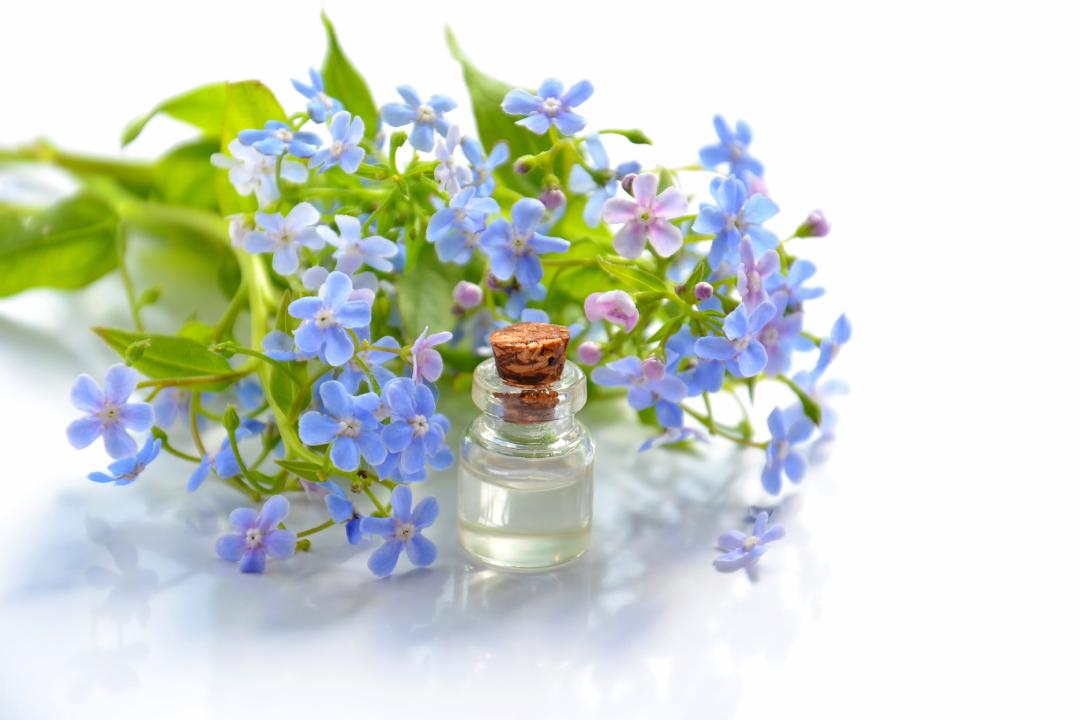 huiles essentielles et herbes
