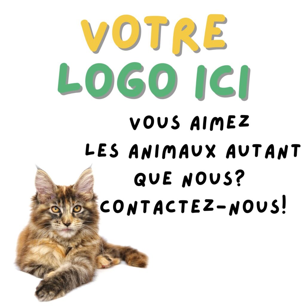 votre logo ici chat naturel dautrefois
