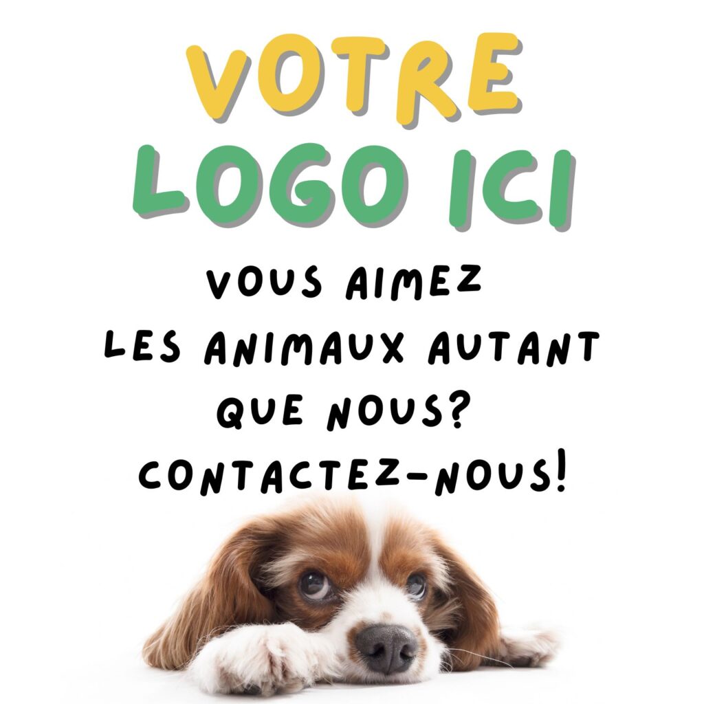 votre logo ici chien naturel dautrefois